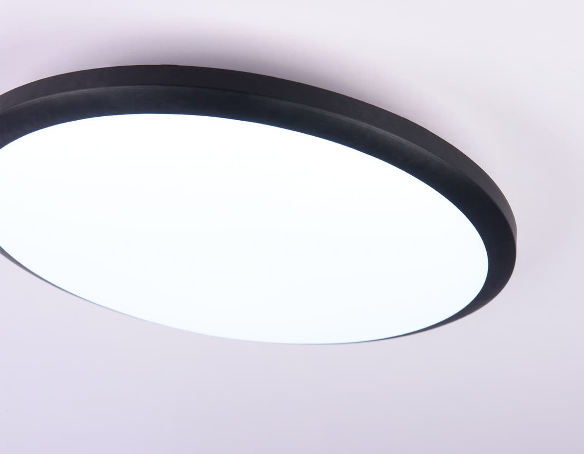 Потолочный светодиодный светильник FZ1233 BK черный IP44 22W 6400К D260*55 (Без ПДУ) Ambrella Light 12