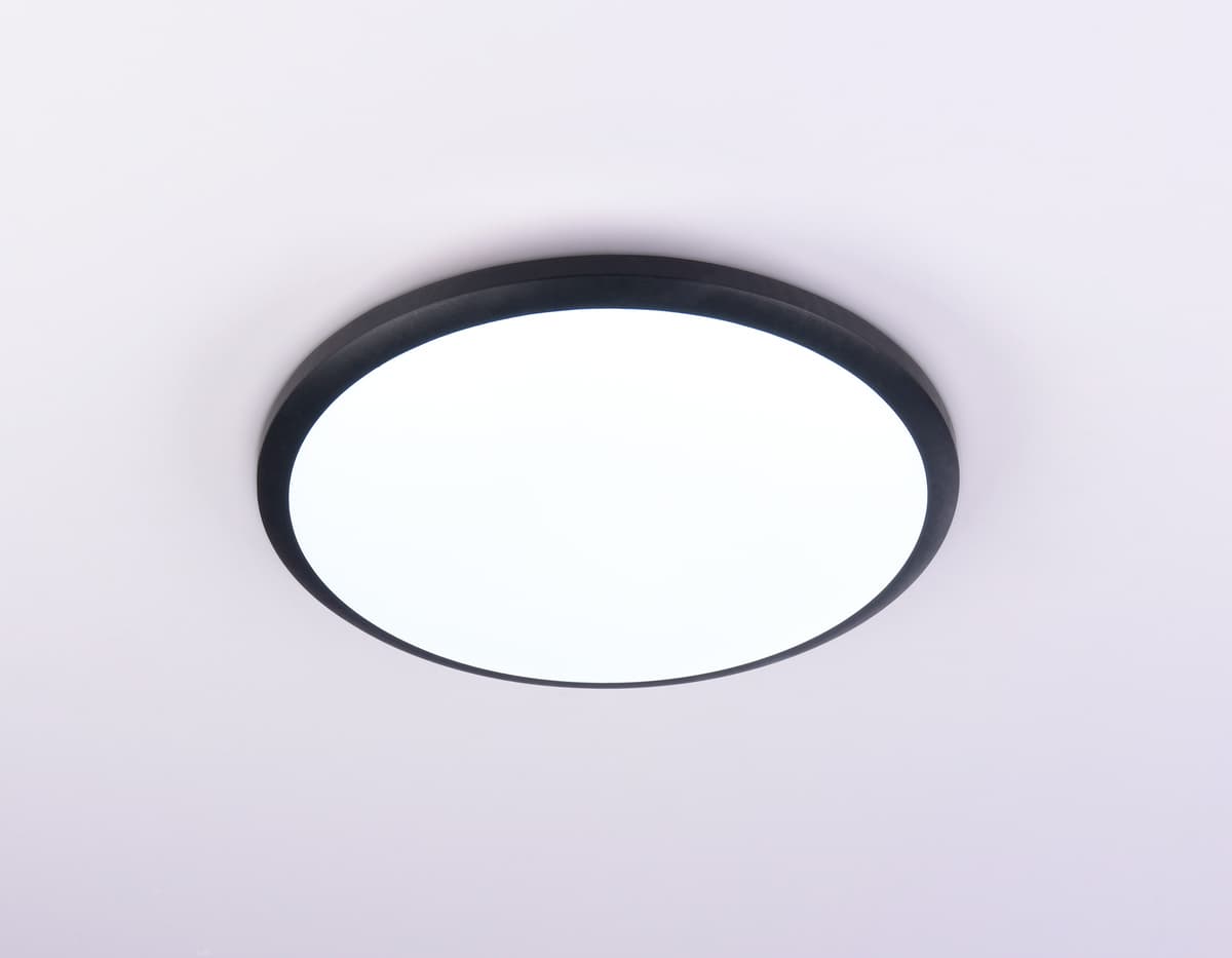 Потолочный светодиодный светильник FZ1233 BK черный IP44 22W 6400К D260*55 (Без ПДУ) Ambrella Light 13