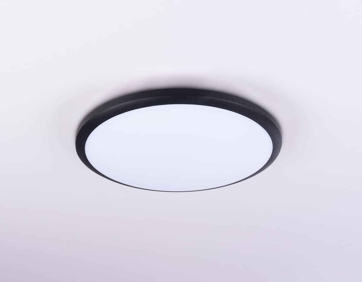 Потолочный светодиодный светильник FZ1233 BK черный IP44 22W 6400К D260*55 (Без ПДУ) Ambrella Light 14