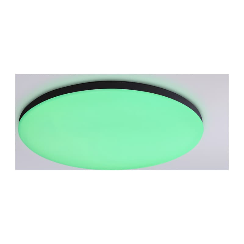 Умный светодиодный светильник Smart Ambrella Light 20W с Wi-Fi, Яндекс Алисой, Tuya, Smart Home, Alexa и ИК пультом FZ2004 BK черный IP54 20W 3000K-6500K+RGB Wi-Fi Алиса/Tuya/Smart Home/Alexa D300*55 (ПДУ ИК) Ambrella Light 12