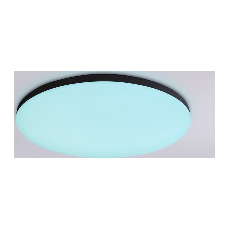 Умный светодиодный светильник Smart Ambrella Light 20W с Wi-Fi, Яндекс Алисой, Tuya, Smart Home, Alexa и ИК пультом FZ2004 BK черный IP54 20W 3000K-6500K+RGB Wi-Fi Алиса/Tuya/Smart Home/Alexa D300*55 (ПДУ ИК) Ambrella Light 13