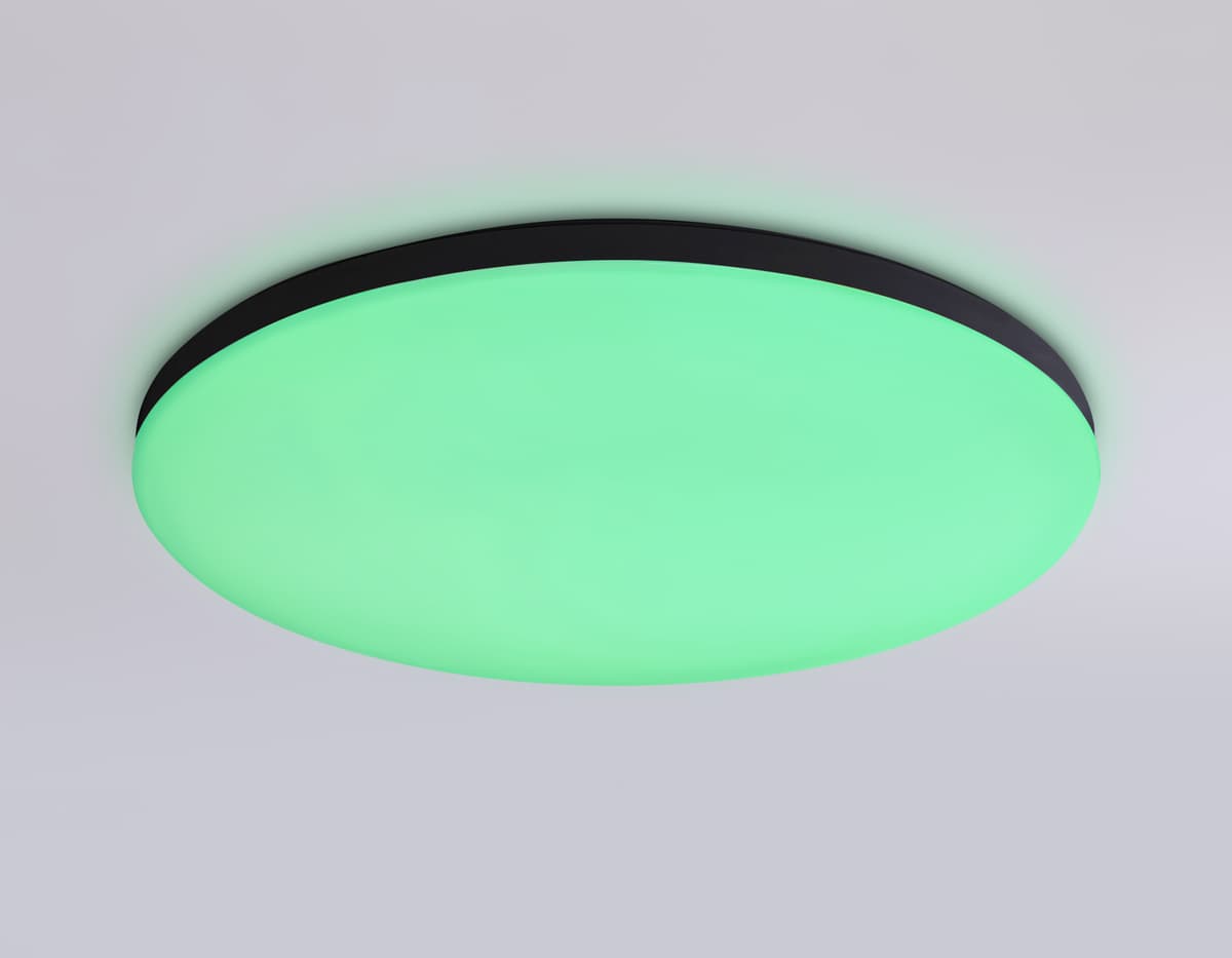 Умный светодиодный светильник Smart Ambrella Light 20W с Wi-Fi, Яндекс Алисой, Tuya, Smart Home, Alexa и ИК пультом FZ2004 BK черный IP54 20W 3000K-6500K+RGB Wi-Fi Алиса/Tuya/Smart Home/Alexa D300*55 (ПДУ ИК) Ambrella Light 22