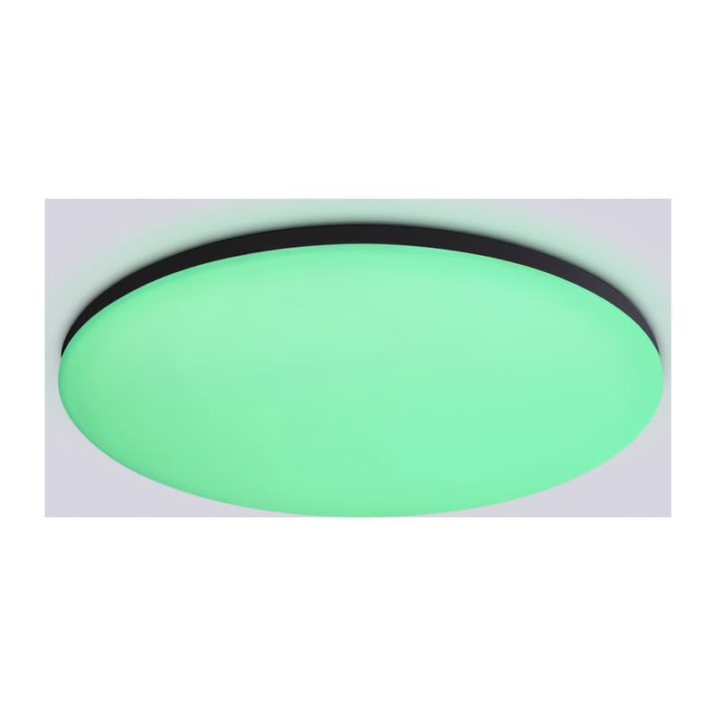 Умный светодиодный светильник Smart Ambrella Light 25W с Wi-Fi, Яндекс Алисой, Tuya, Smart Home, Alexa и ИК пультом FZ2005 BK черный IP54 25W 3000K-6500K+RGB Wi-Fi Алиса/Tuya/Smart Home/Alexa D370*55 (ПДУ ИК) Ambrella Light 12