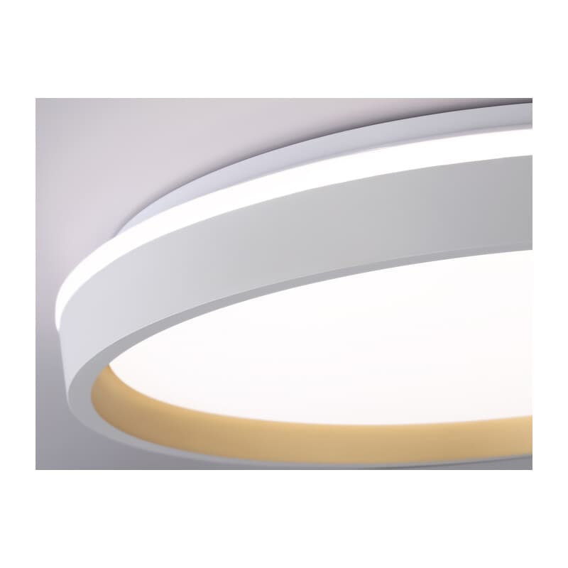 Светодиодный светильник RGB с пультом управления FZ607 WH/GD белый/золото IP20 66W 3000K-6500K+RGB D490*85 (ПДУ ИК) Ambrella Light 10