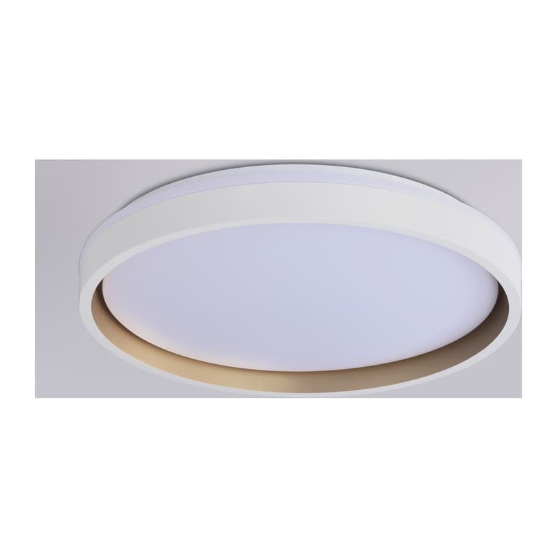 Светодиодный светильник RGB с пультом управления FZ607 WH/GD белый/золото IP20 66W 3000K-6500K+RGB D490*85 (ПДУ ИК) Ambrella Light 13