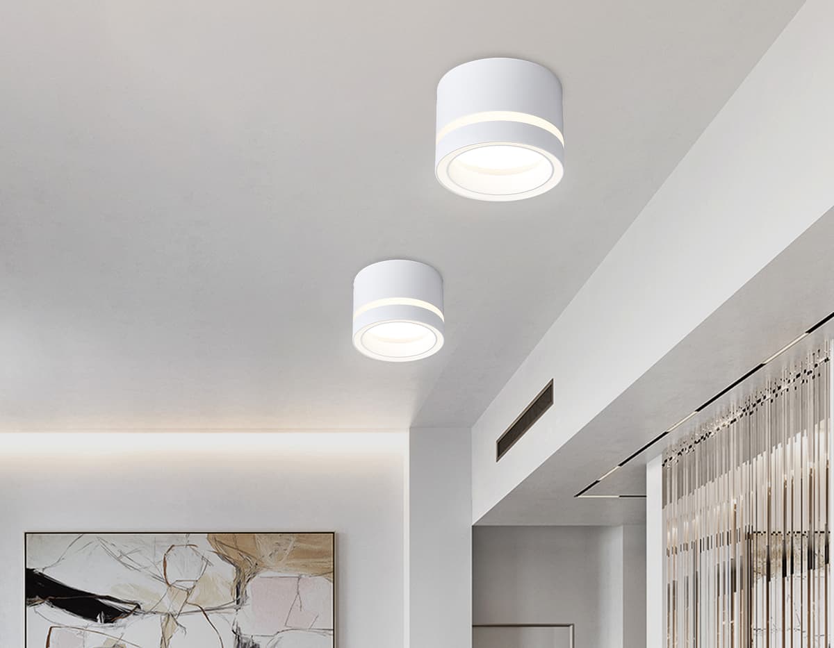 Накладной точечный светильник GX53 TN5245 WH белый GX53 max 12W D85*62 Ambrella Light 13