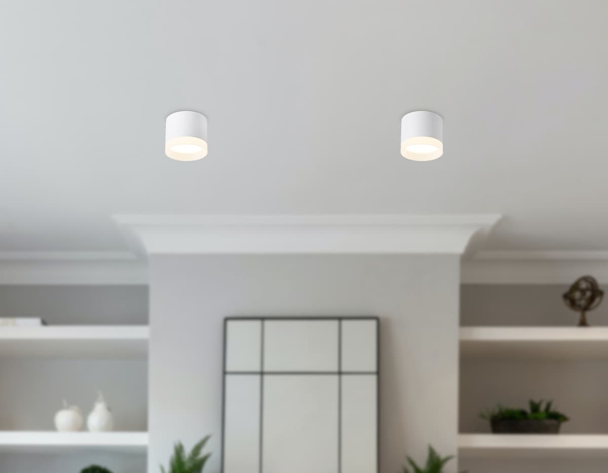 Накладной точечный светильник GX53 TN5365 WH белый GX53 D82*70 Ambrella Light 15