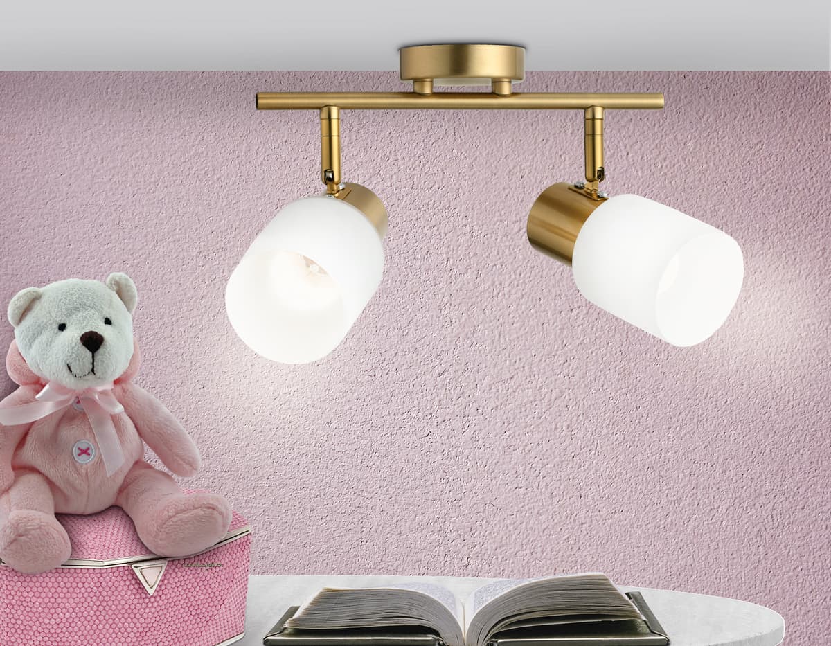 Настенно-потолочный спот TR3969/2 BS/FR латунь/белый матовый E27*2 max 40W 260*80*210 Ambrella Light 10