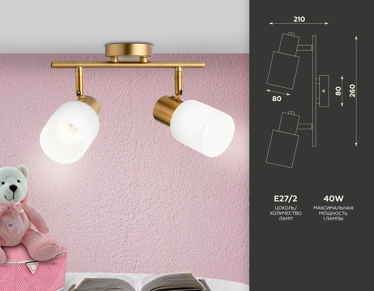Настенно-потолочный спот TR3969/2 BS/FR латунь/белый матовый E27*2 max 40W 260*80*210 Ambrella Light 9