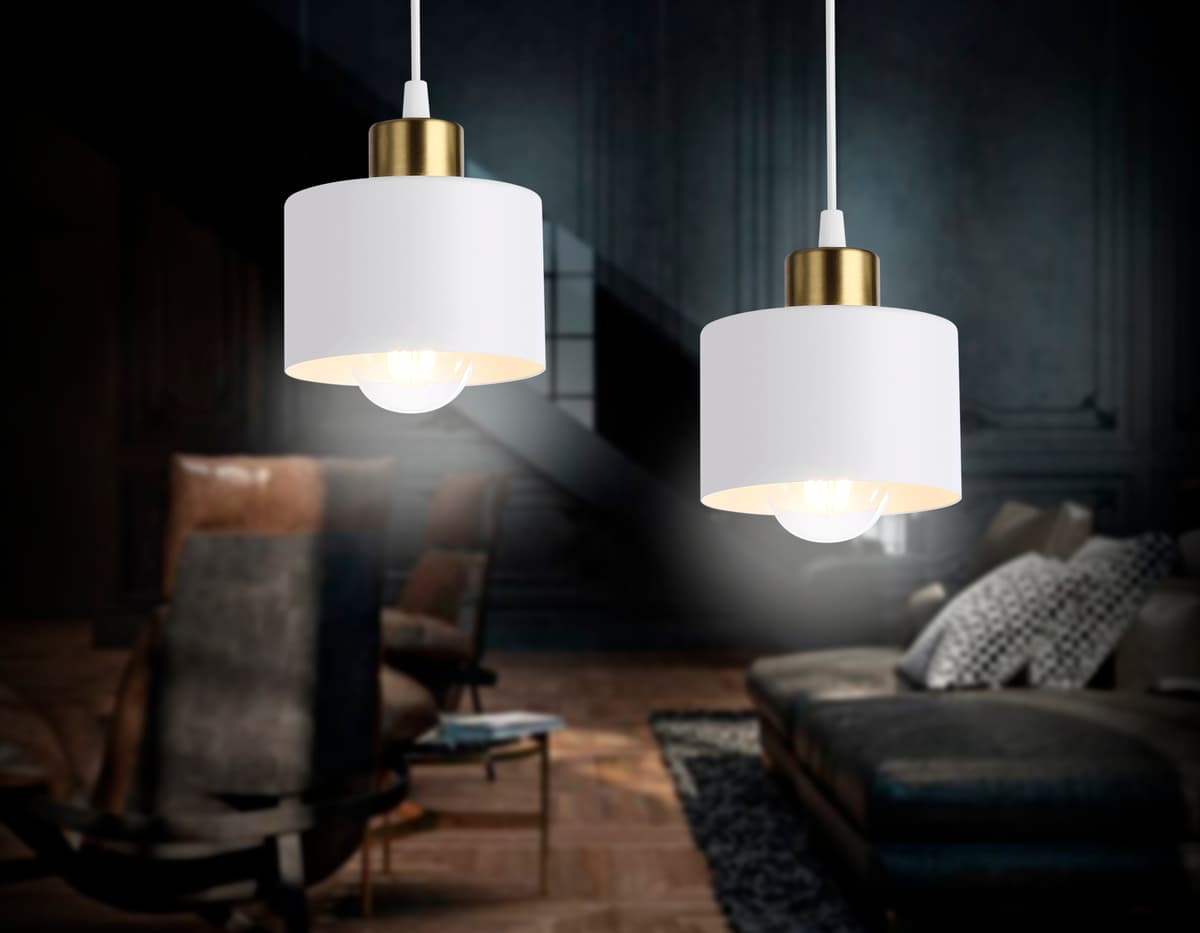 Подвесной светильник в стиле лофт TR8112 WH/BS белый/латунь E27 max 40W D120*940 Ambrella Light 4