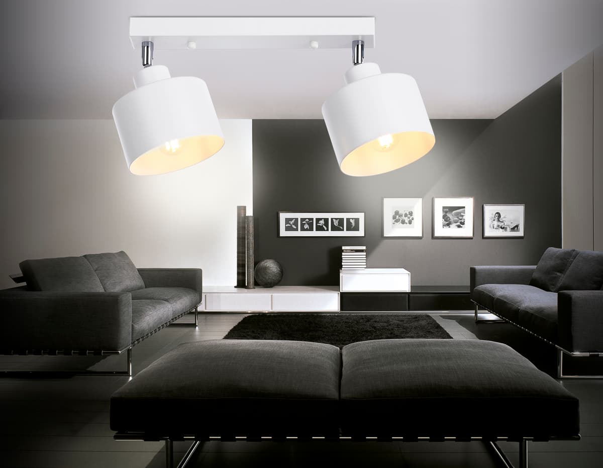 Настенно-потолочный спот в стиле лофт TR8141/2 WH белый E27*2 max 40W 340*120*180 Ambrella Light 4