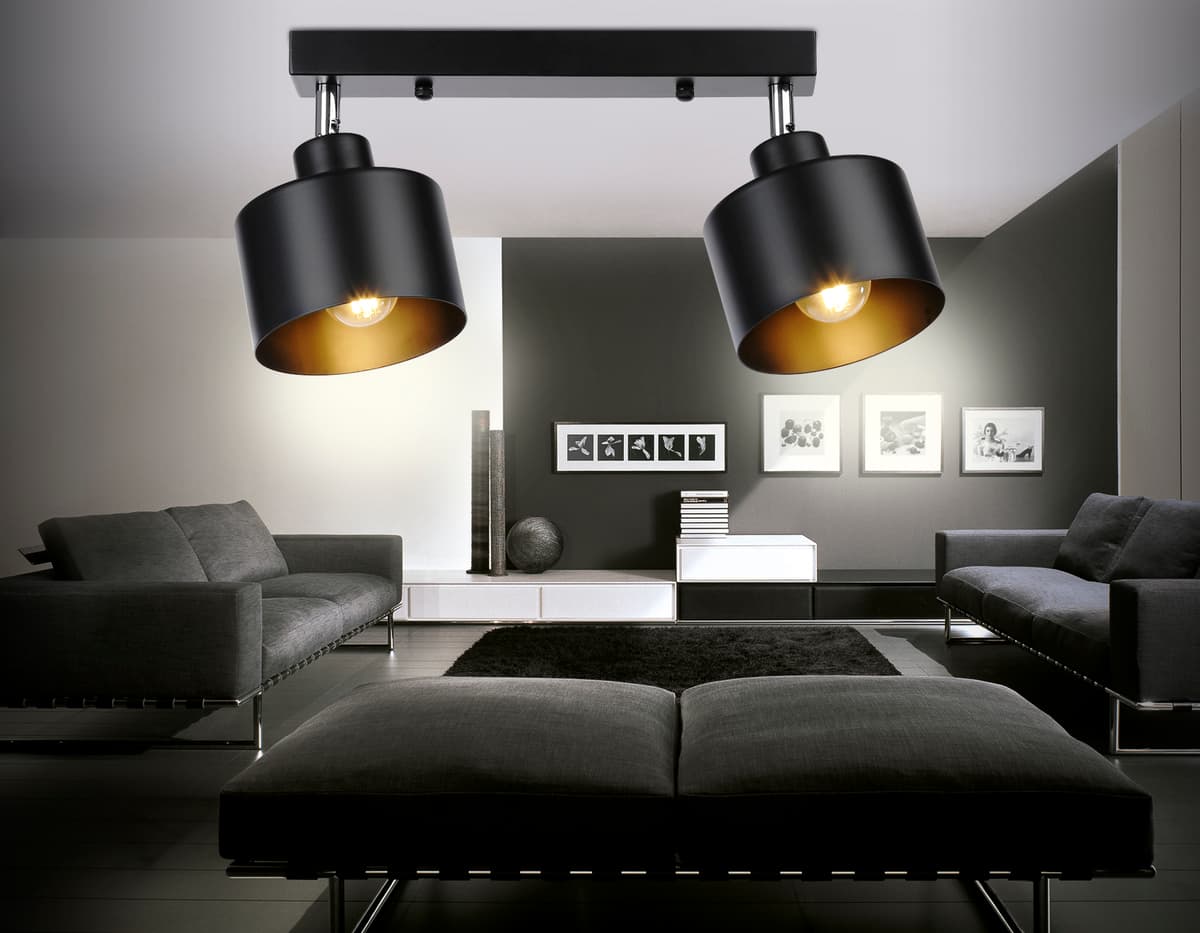 Настенно-потолочный спот в стиле лофт TR8142/2 BK черный E27*2 max 40W 340*120*180 Ambrella Light 4