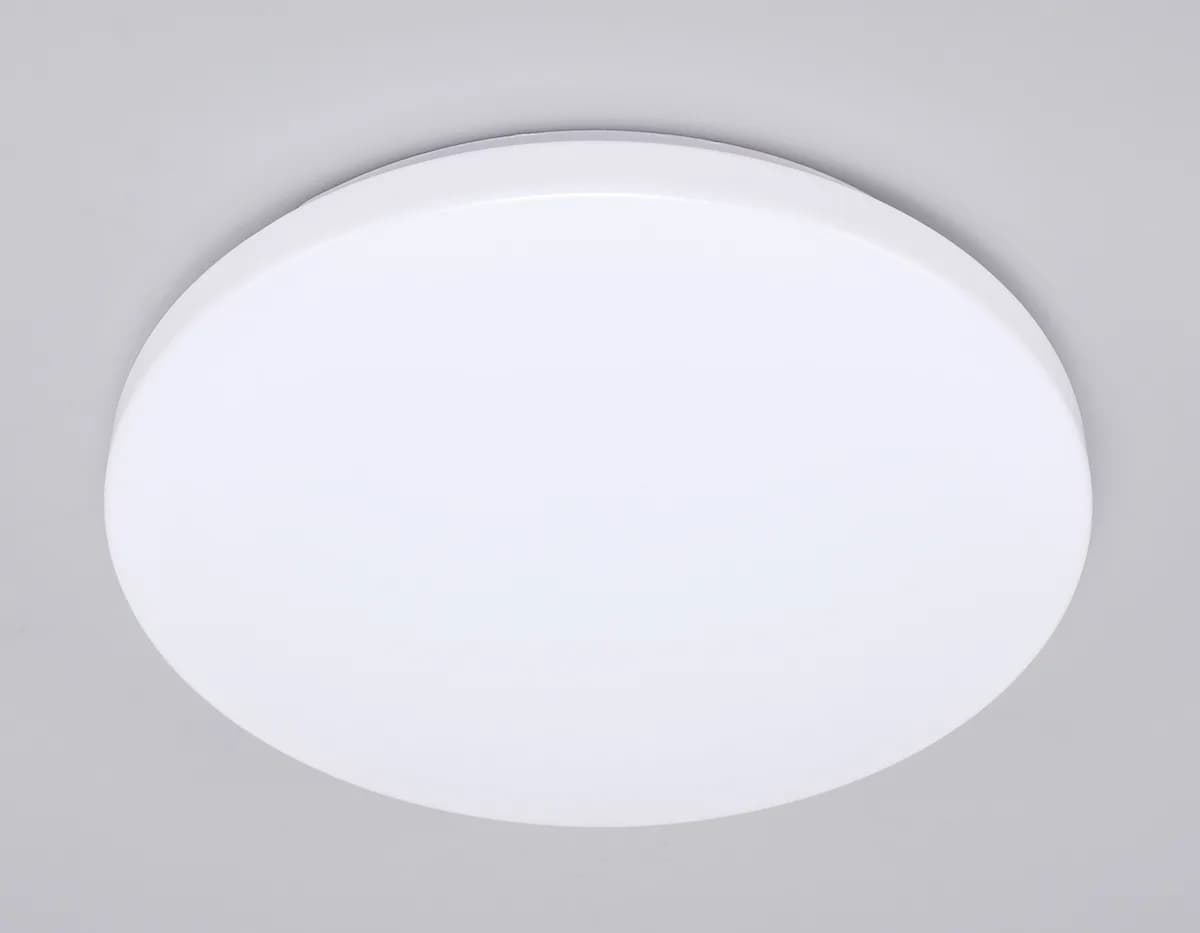 FZ1010