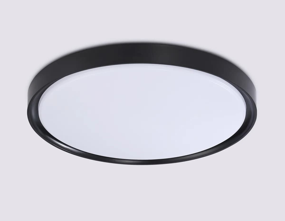 FZ1248