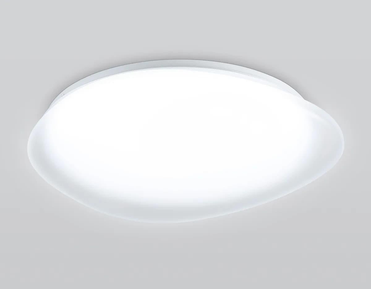 FZ1605