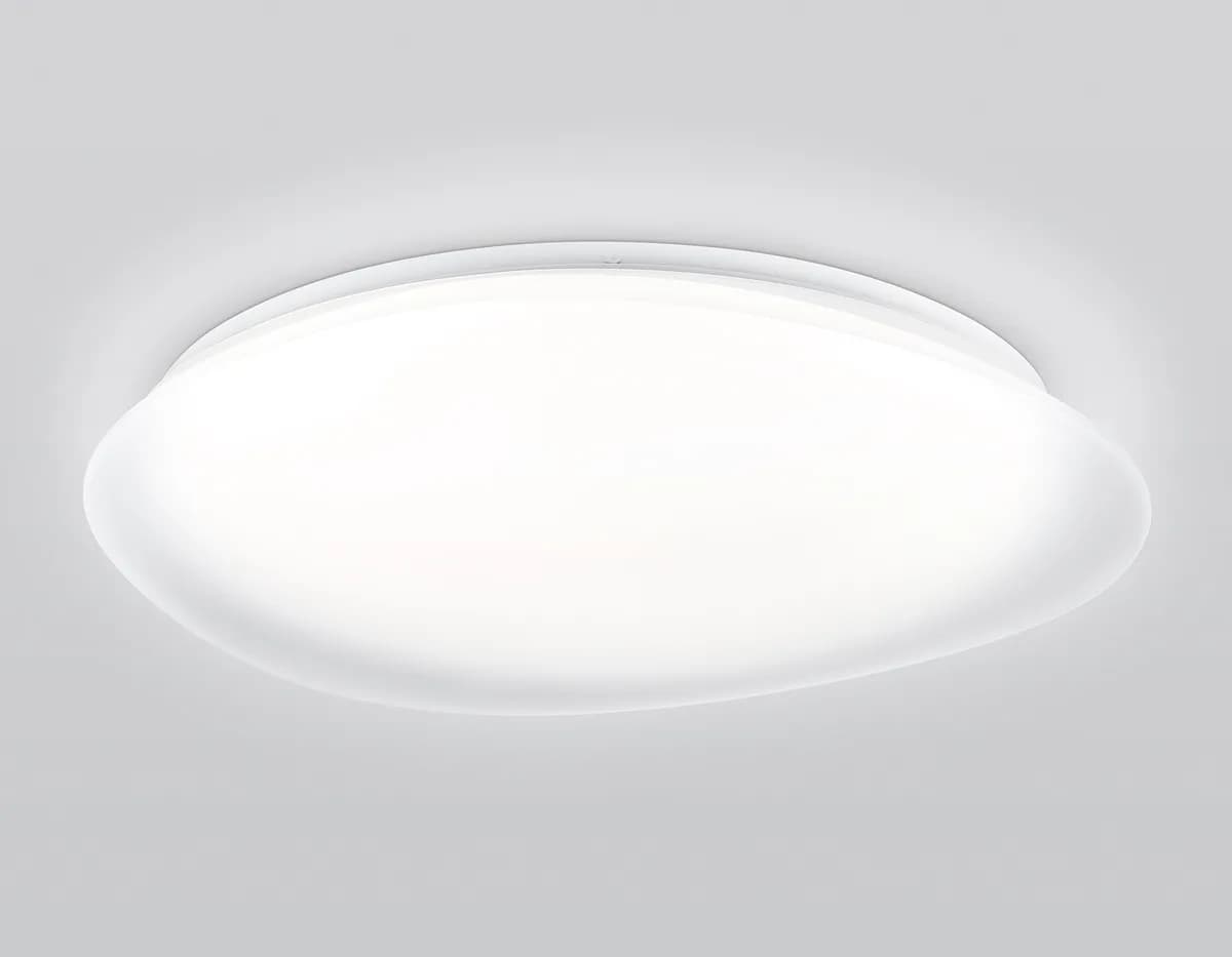 FZ1615