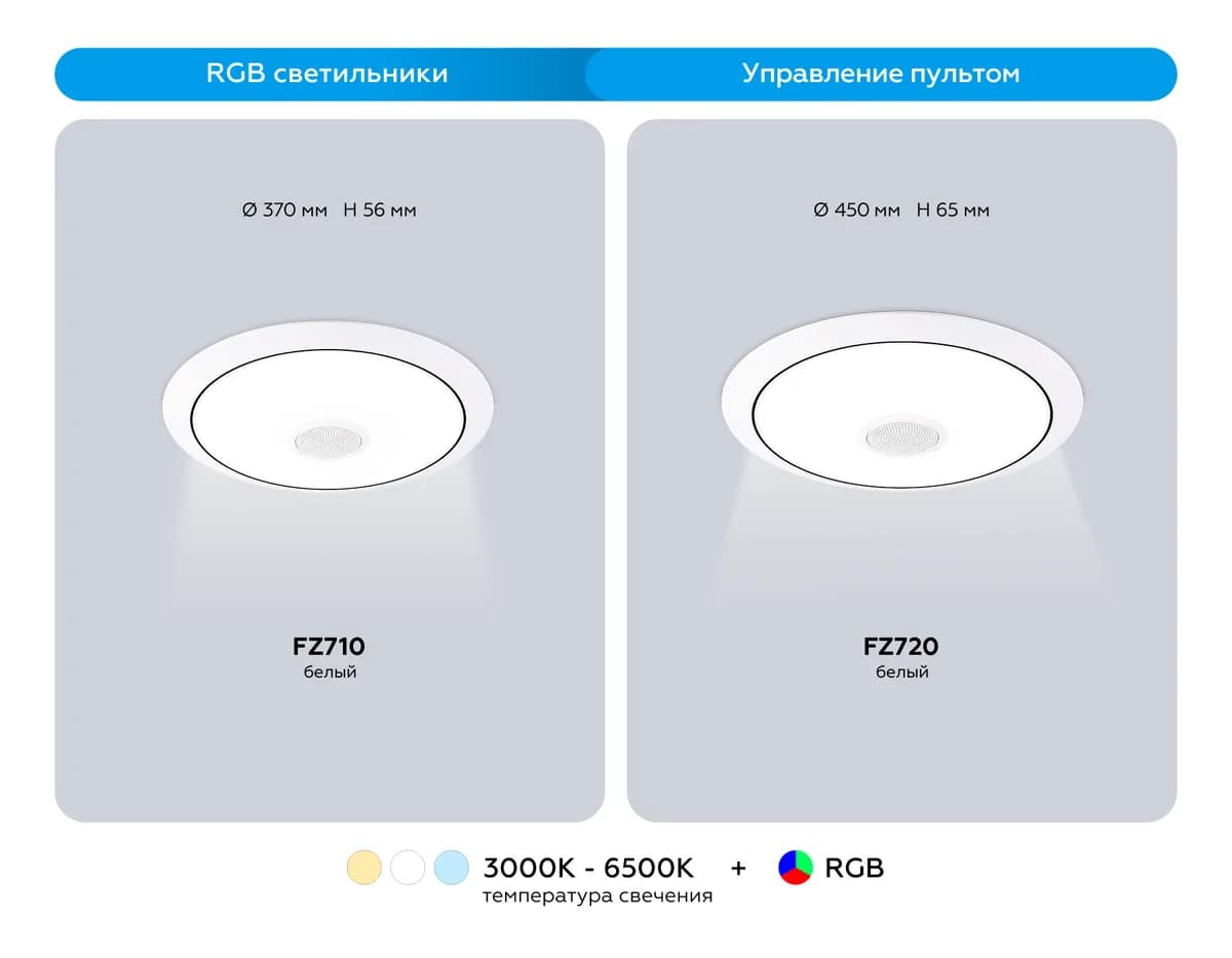 FZ710