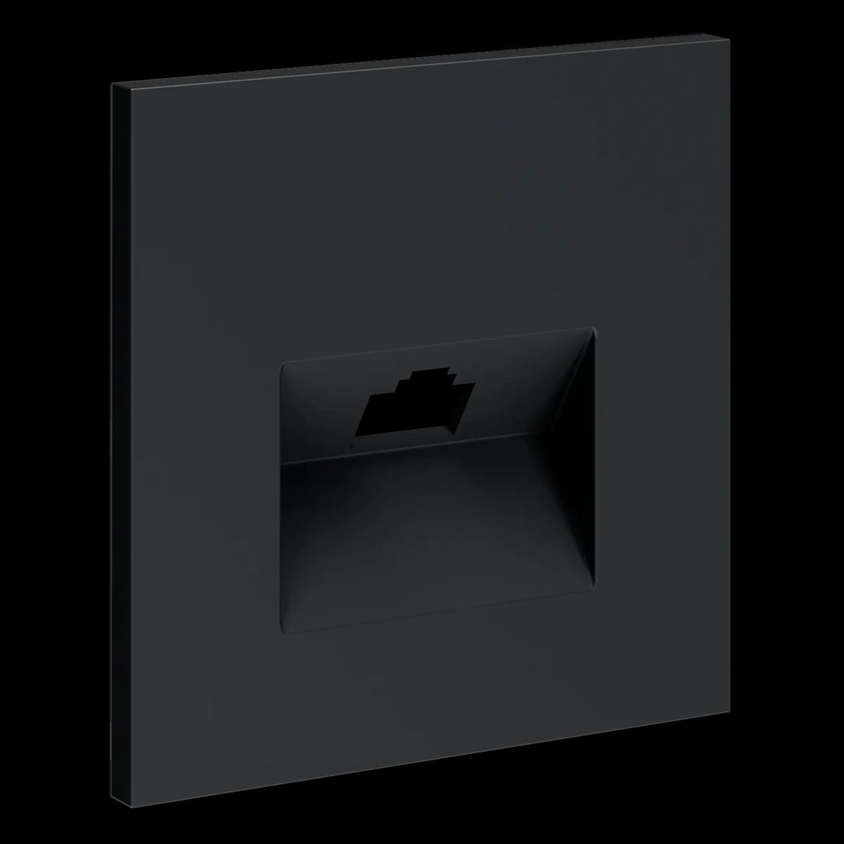 VLS001307