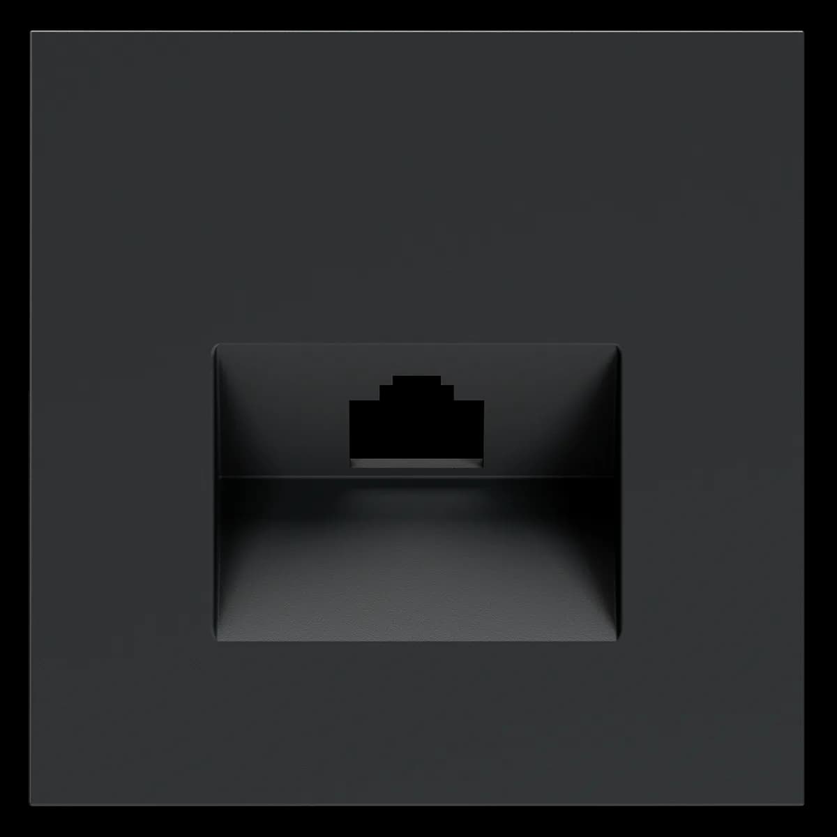 VLS001307