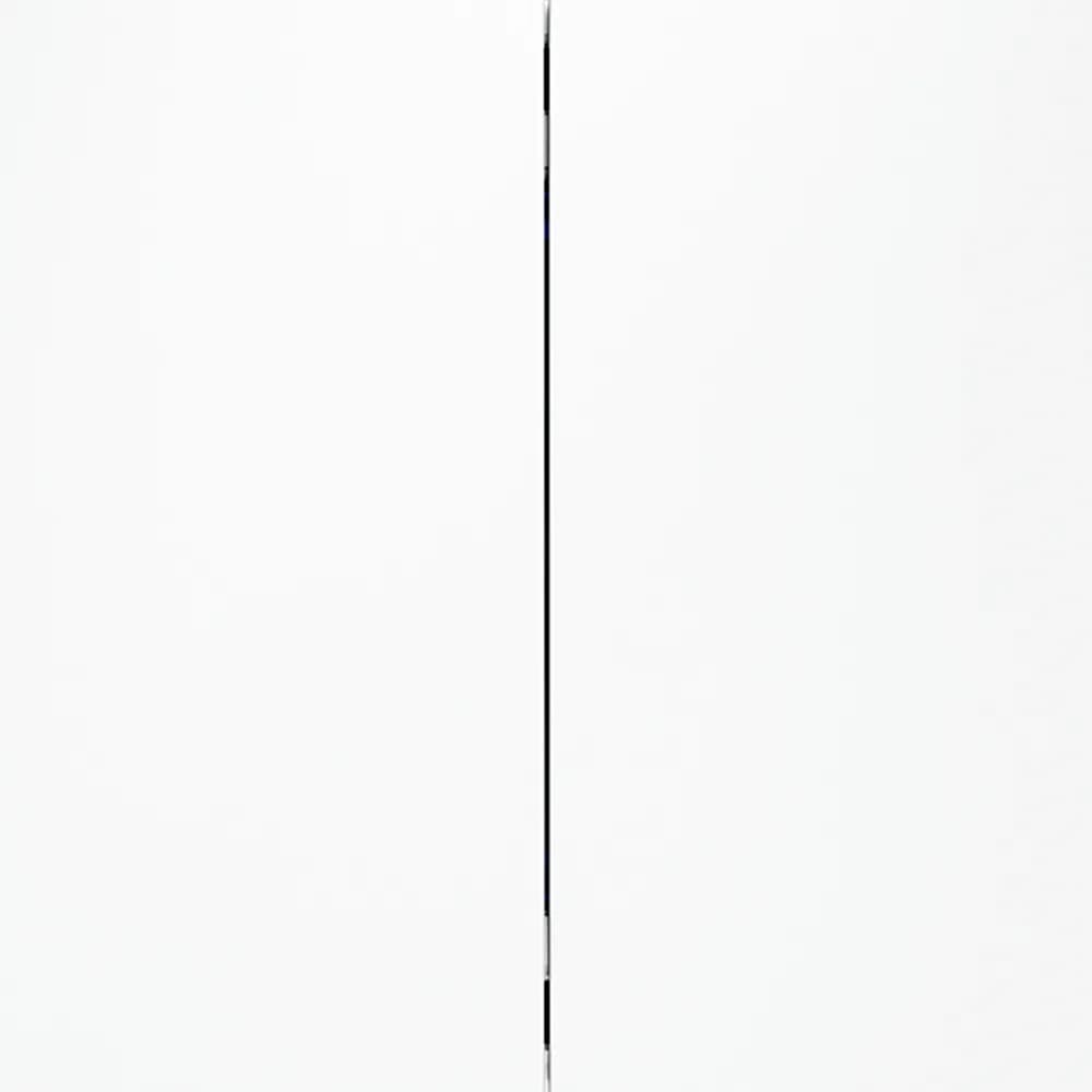 VLS020302