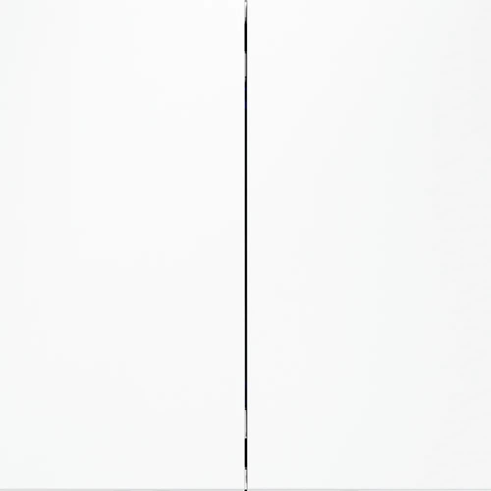 VLS020602