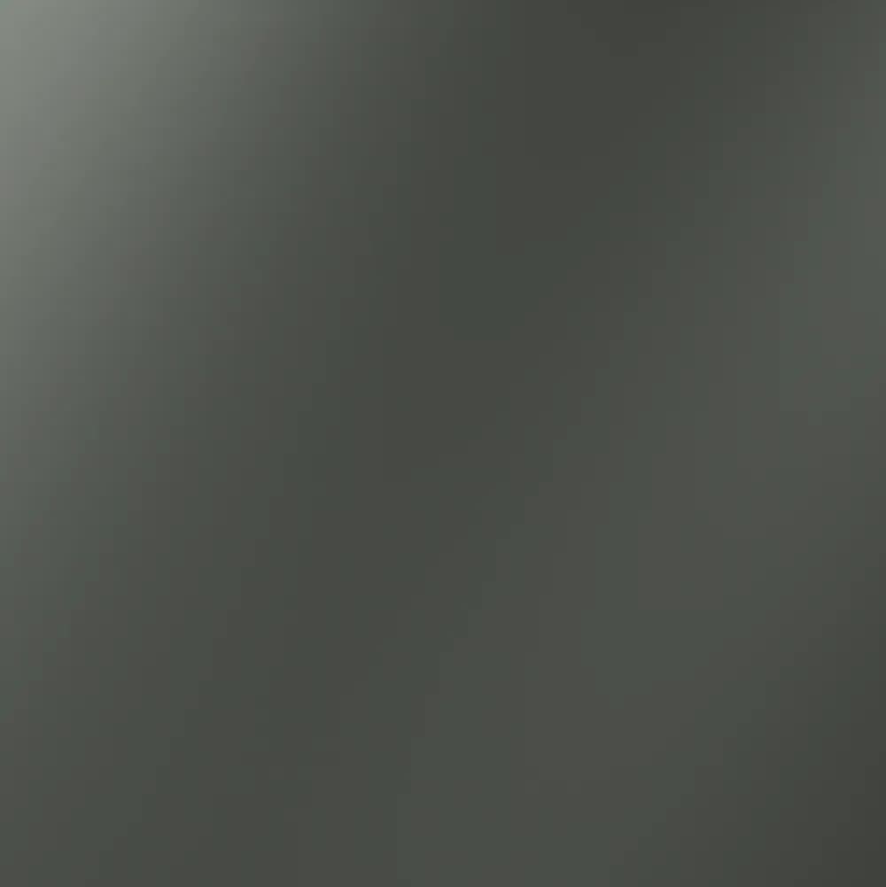 VLS080106