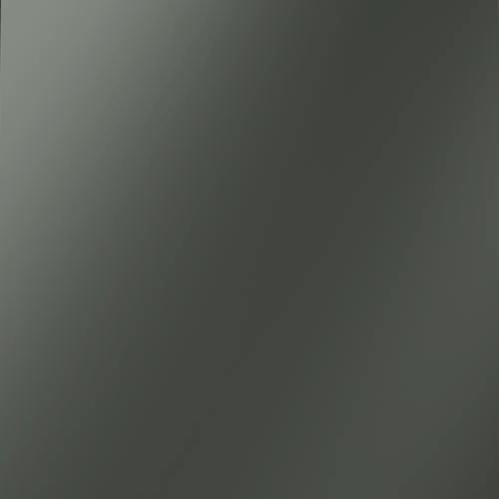 VLS080206