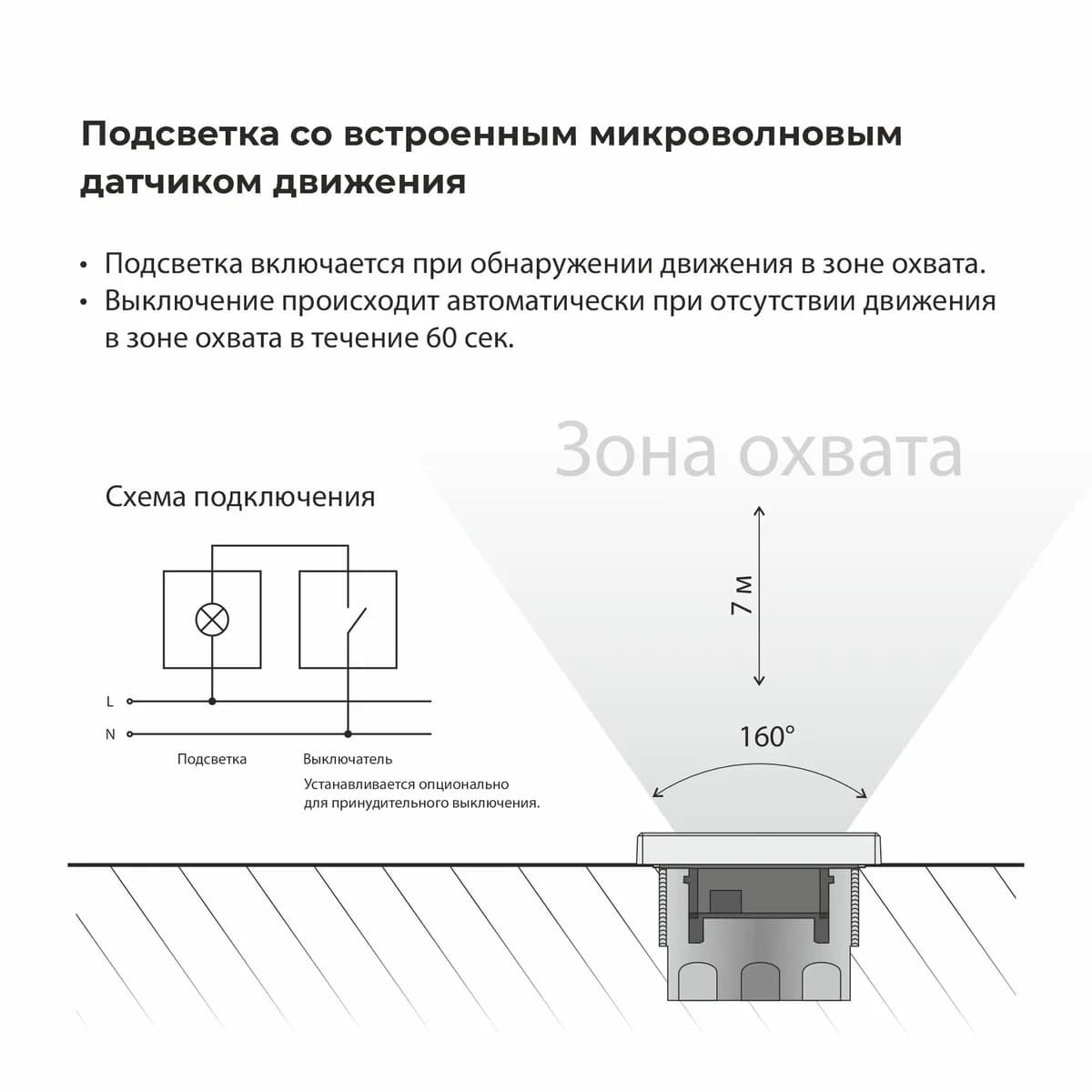 W1154601