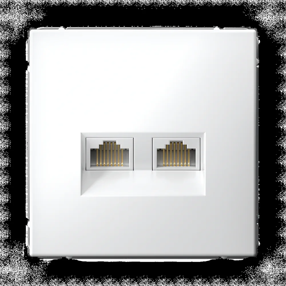 ArtGallery РОЗЕТКА двойная компьютерная RJ45+RJ45, кат. 5е, механизм, БЕЛЫЙ