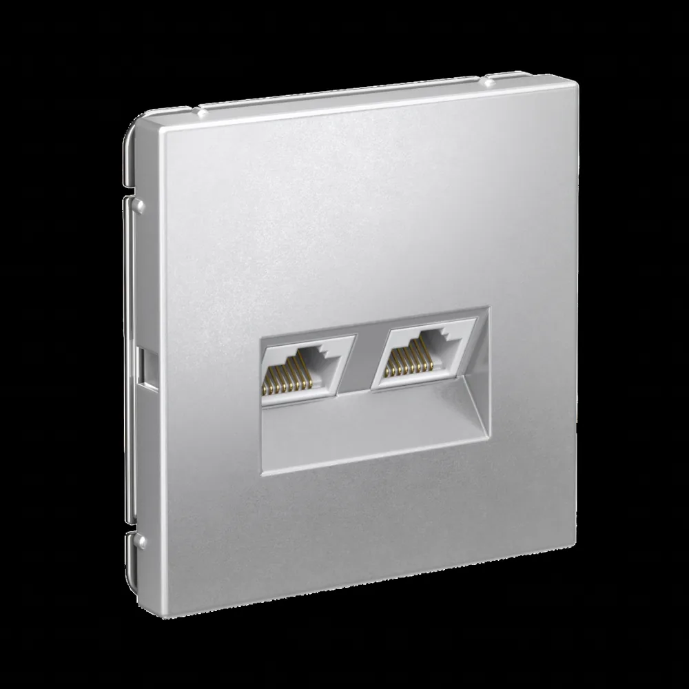 ArtGallery РОЗЕТКА двойная компьютерная RJ45+RJ45, кат.6А, механизм, АЛЮМИНИЙ 2