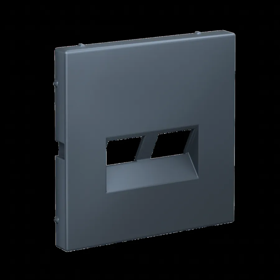 ArtGallery НАКЛАДКА ДВОЙНАЯ для информационных функций типа Keystone, ГРИФЕЛЬ 2