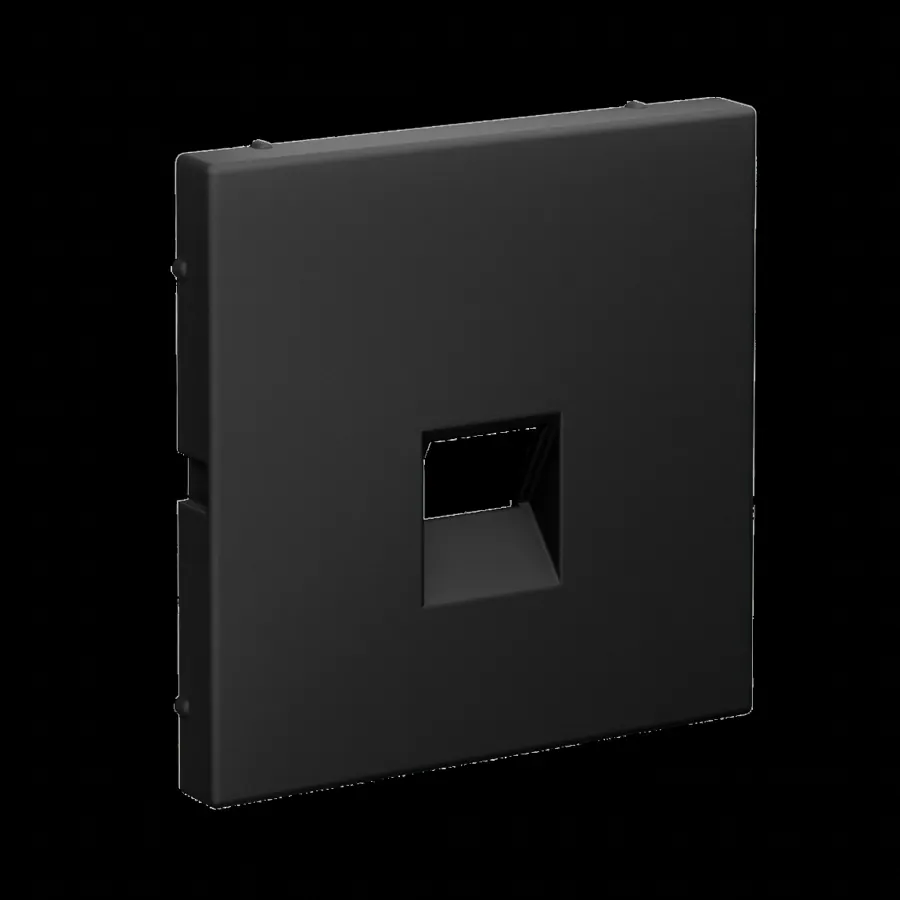 ArtGallery НАКЛАДКА для информационных функций типа Keystone, КАРБОН 2