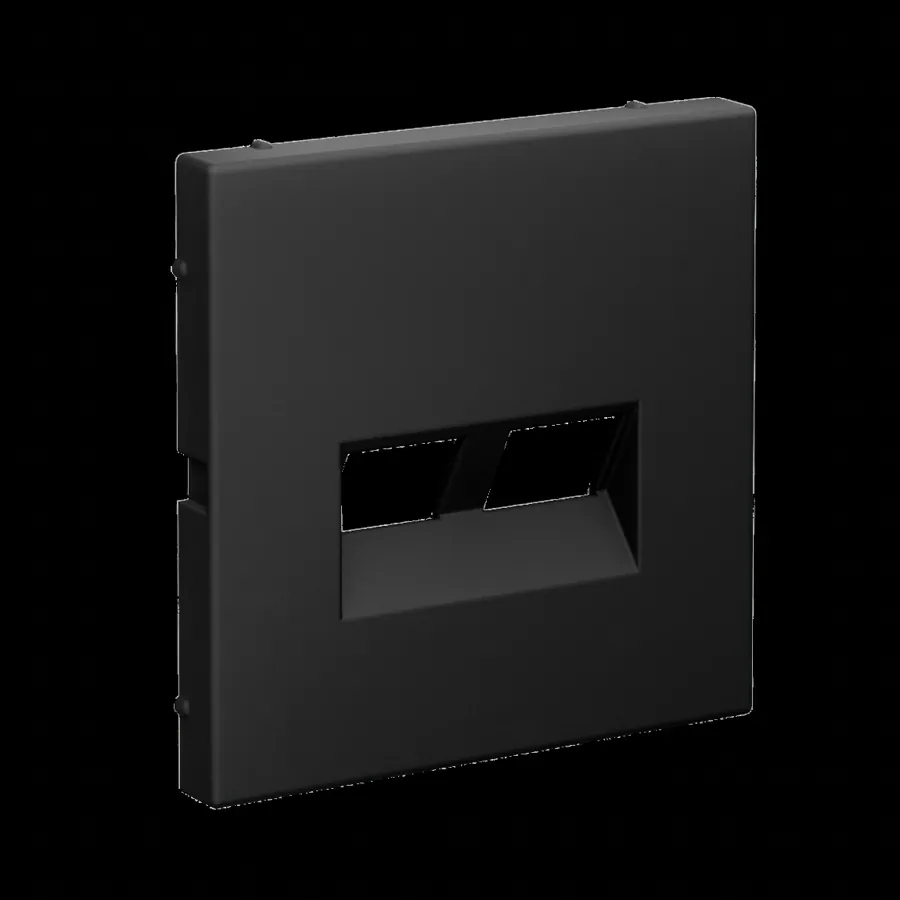 ArtGallery НАКЛАДКА ДВОЙНАЯ для информационных функций типа Keystone, КАРБОН 2