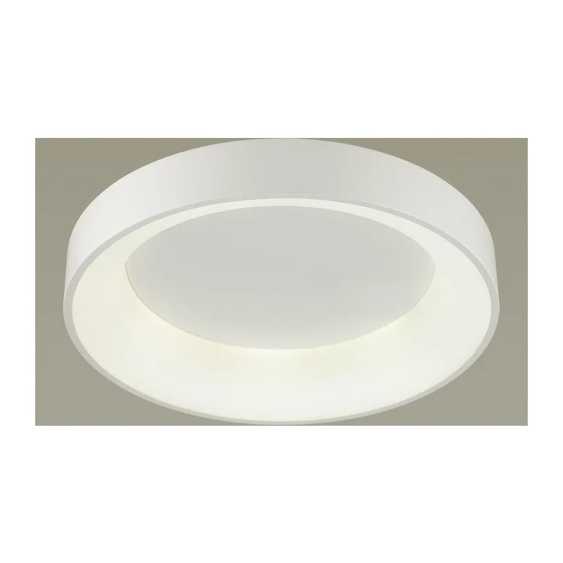 4066/40CL L-VISION ODL19 383 белый/серый Люстра потолочная с ДУ LED 40W 220V SOLE 3