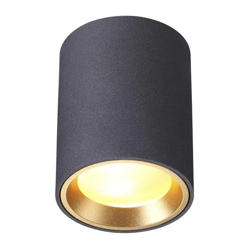 4205/1C HIGHTECH ODL20 327 черный/металл Потолочный светильник GU10 50W IP54 AQUANA