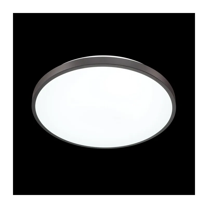 3012/DL TAN SN 000 Светильник пластик/черный LED 48Вт 3000-6300K D380 IP43 пульт ДУ/ LampSmart SMALLI 4