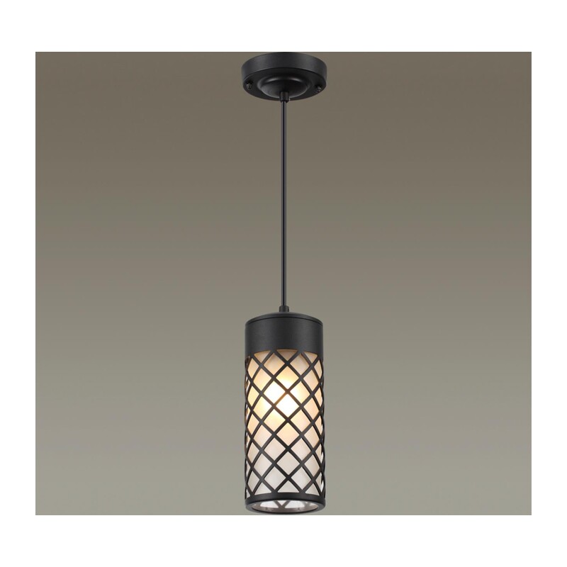 4834/1 NATURE ODL21 706 черный/стекло Ландшафтный светильник-подвес E27 1*60W IP44 DUNES 4