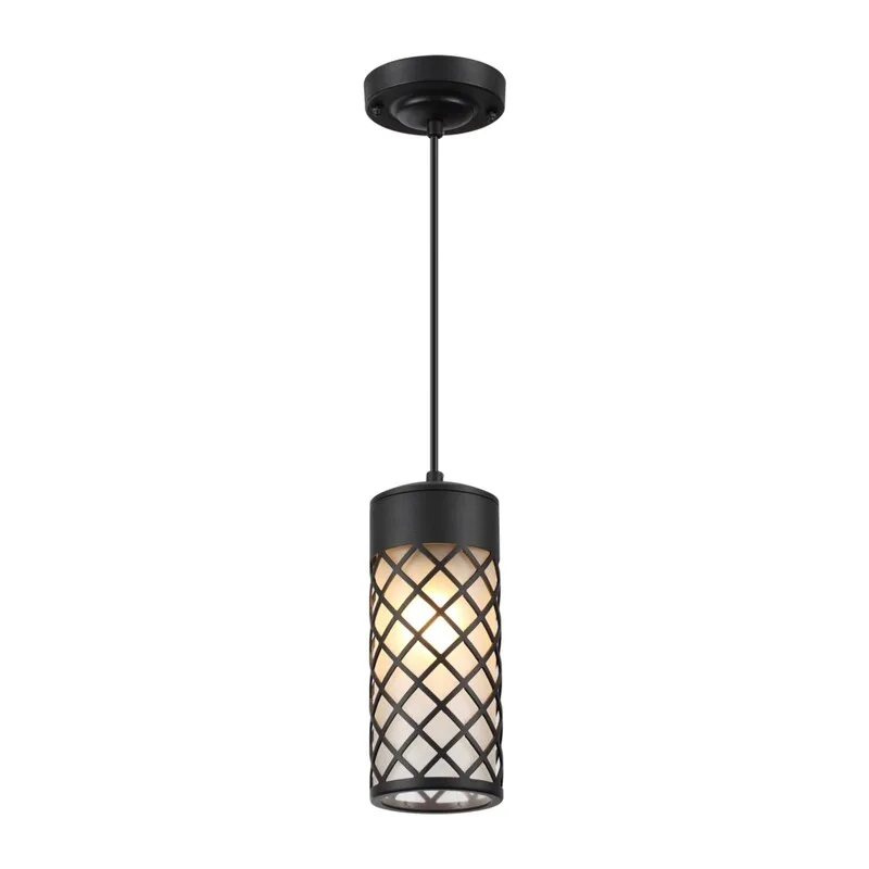 4834/1 NATURE ODL21 706 черный/стекло Ландшафтный светильник-подвес E27 1*60W IP44 DUNES