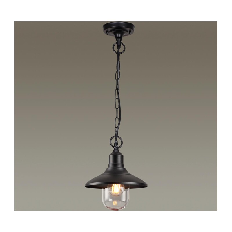 4965/1 NATURE ODL22 713 черный/стекло Ландшафтный подвес E27 1*60W IP44 CAMPA 3