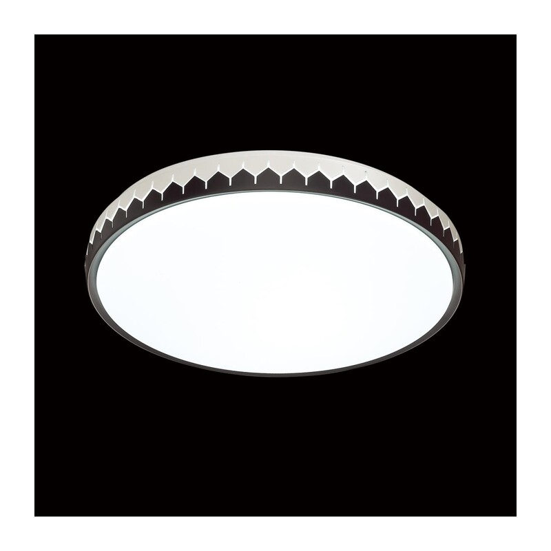 3053/EL PALE SN 000 Светильник пластик/белый/черный LED 72Вт 3000-6300К D490 IP43 пульт ДУ DORTA 4