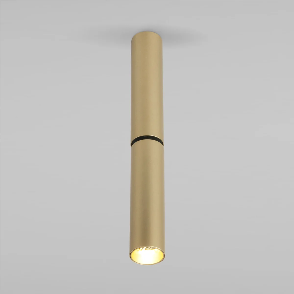 Накладной поворотный светодиодный светильник с антибликовой решеткой Pika 25029/LED 6W 4200K латунь Elektrostandard 3