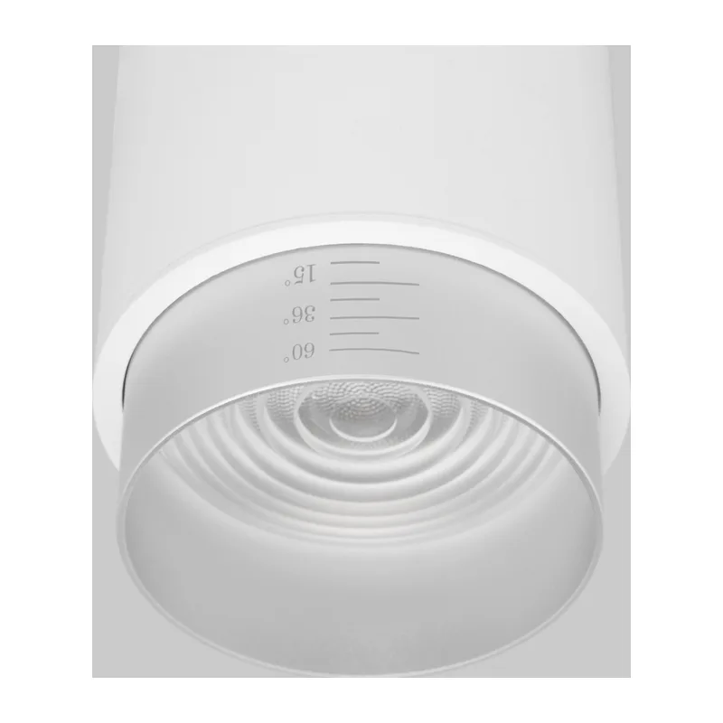 Потолочный светодиодный светильник Cors 25032/LED 10W 4200K белый/серебро Elektrostandard 2