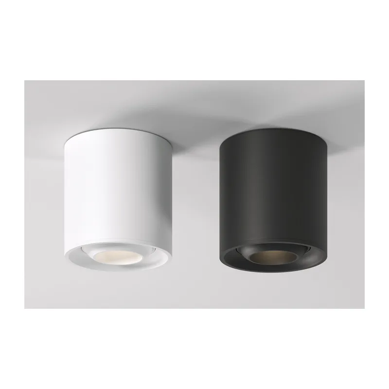 Накладной потолочный светильник 25041/LED Elektrostandard 3