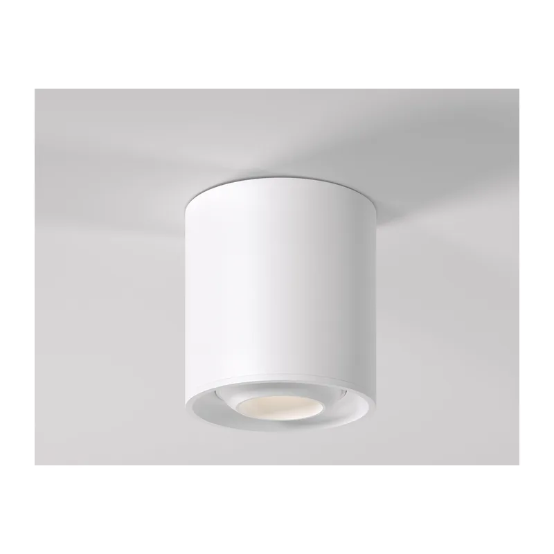 Накладной потолочный светильник 25041/LED Elektrostandard