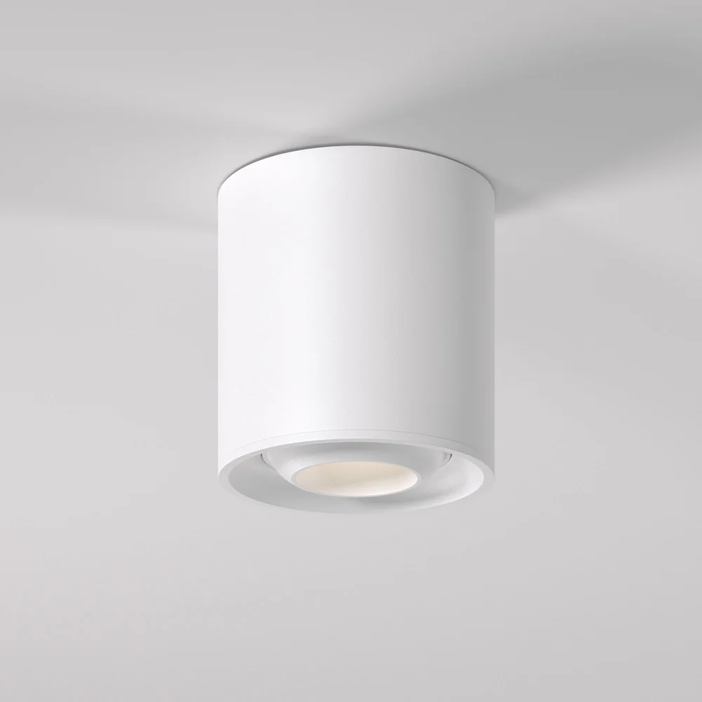 Накладной потолочный светильник 25041/LED Elektrostandard