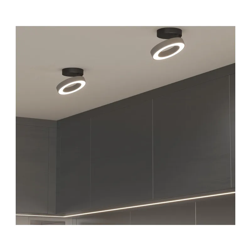 Накладной светодиодный светильник Spila белый 25105/LED Elektrostandard 2