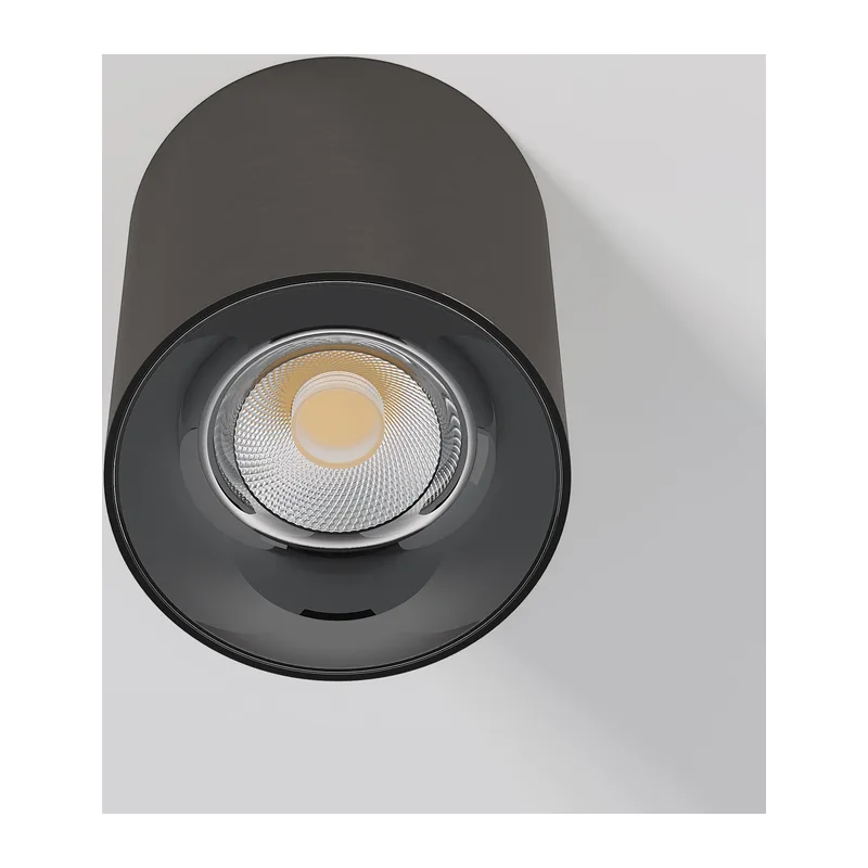 Светильник потолочный светодиодный Primo 12W 3000K латунь 25116/LED Elektrostandard 2