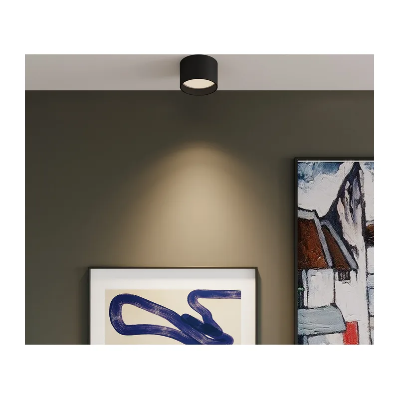 Накладной светодиодный светильник 25123/LED Elektrostandard 4