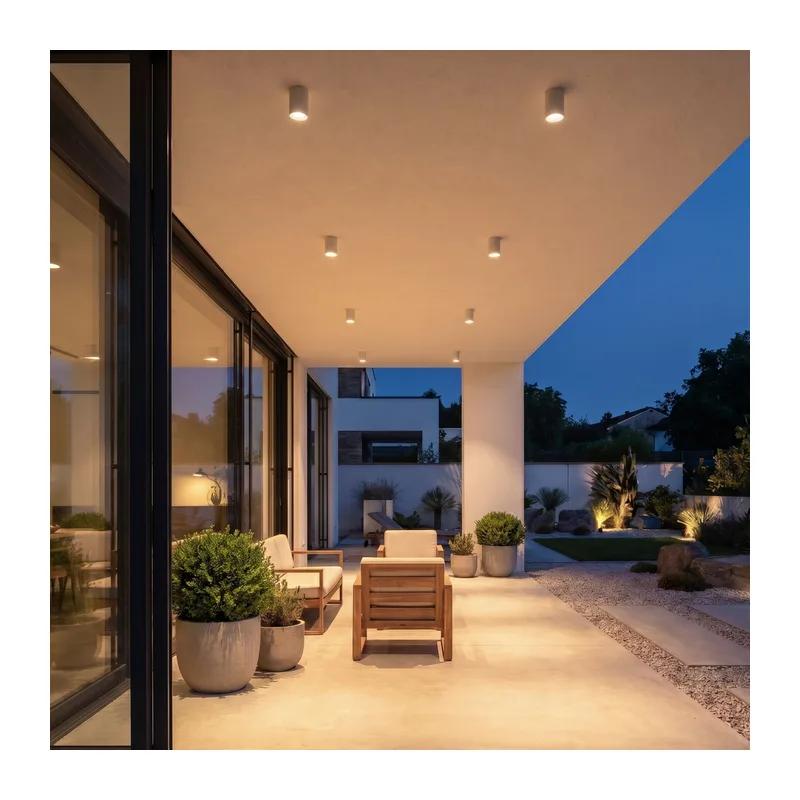 Уличный потолочный светильник Light IP65 35128/H белый Elektrostandard 2