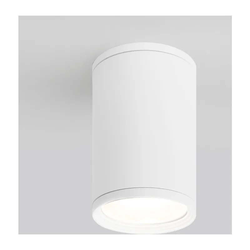 Уличный потолочный светильник Light IP65 35128/H белый Elektrostandard